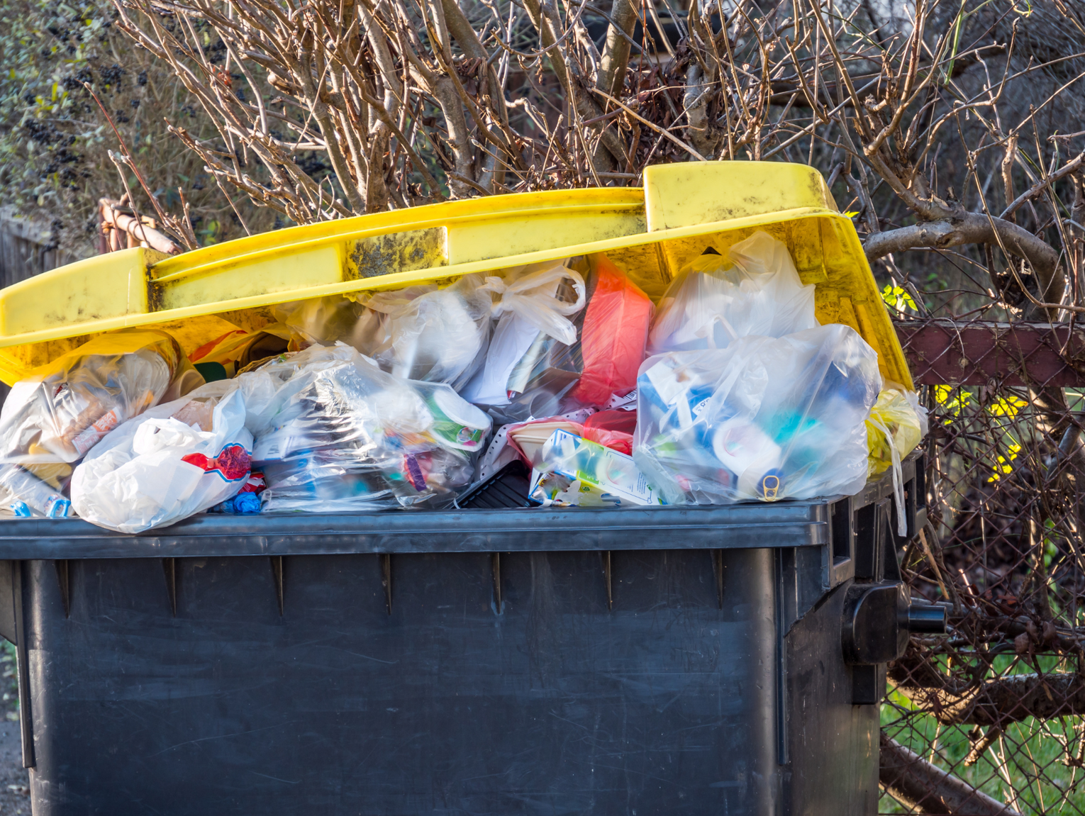 Nowa firma tylko przez miesiąc?