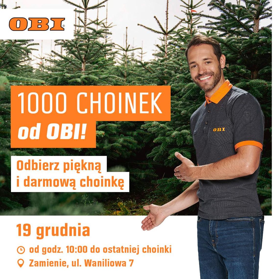 1000 choinek od OBI