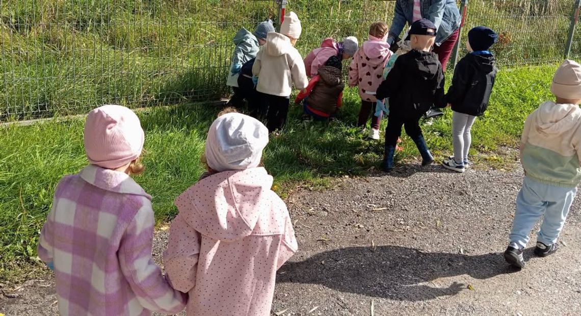 225 worków śmieci zebranych podczas Sprzątania Świata w gminie Góra Kalwaria