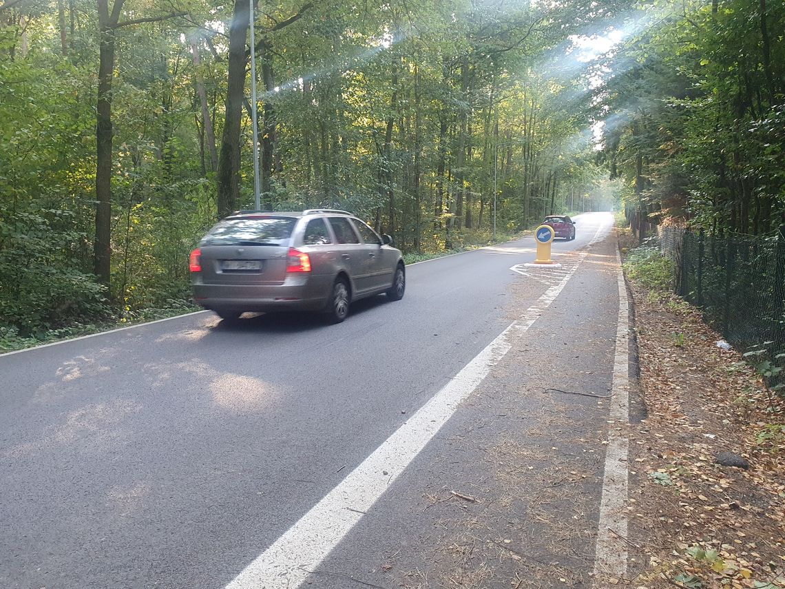 Aktywiści i mieszkańcy nie odpuszczają w sprawie Gościńca Wareckiego