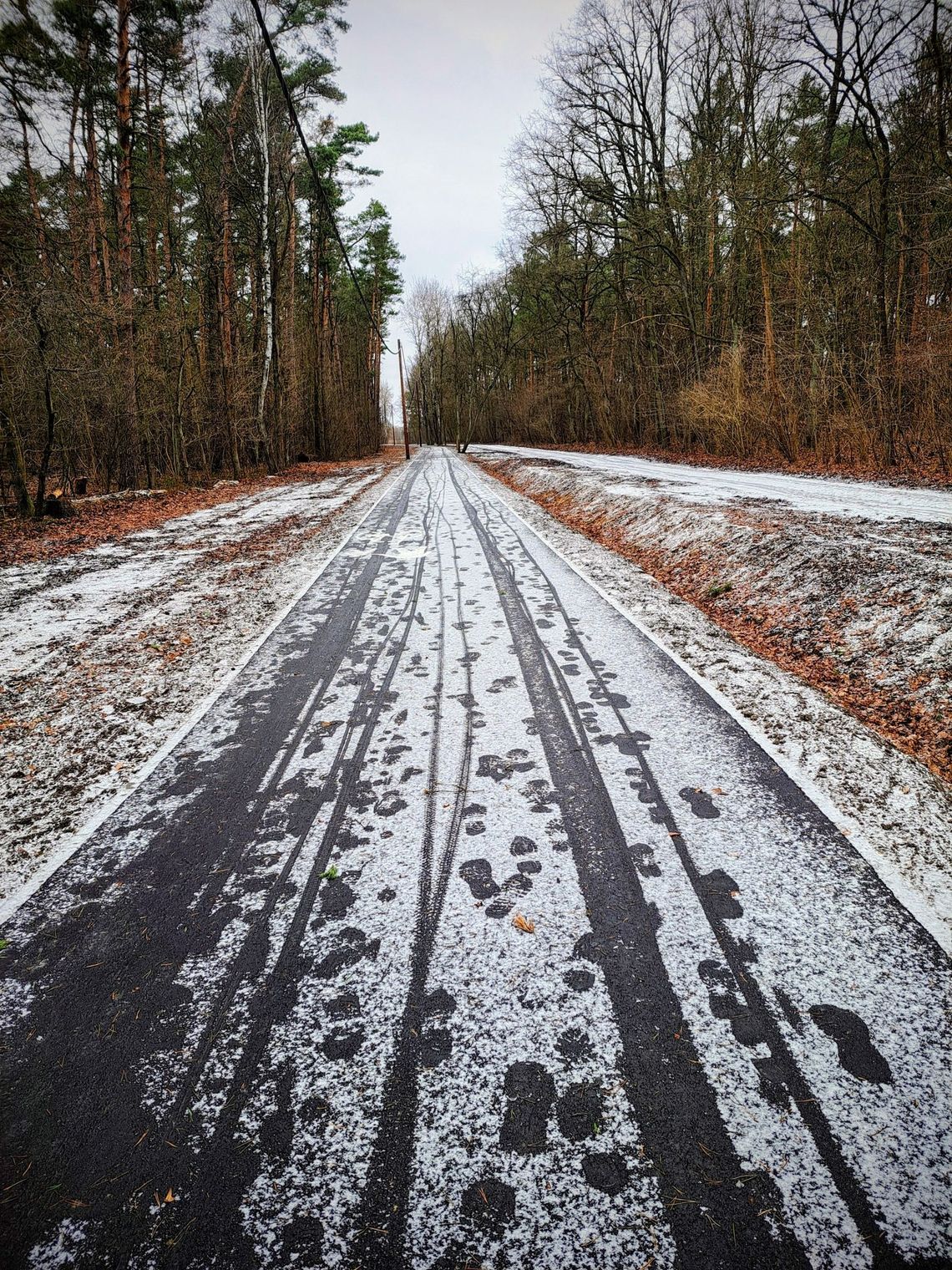 Auta na ścieżce dla rowerów