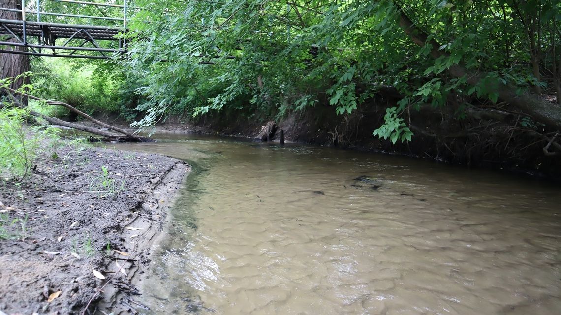 Niski stan rzek i susza hydrologiczna