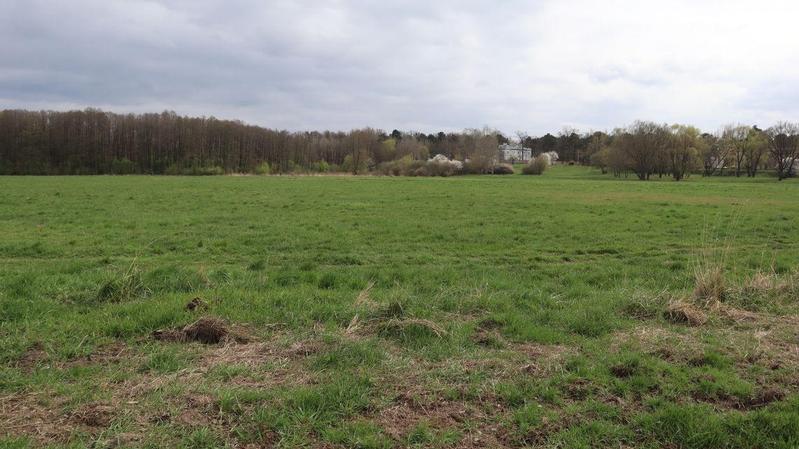 Będą badania ekohydrologiczne Łąk Oborskich