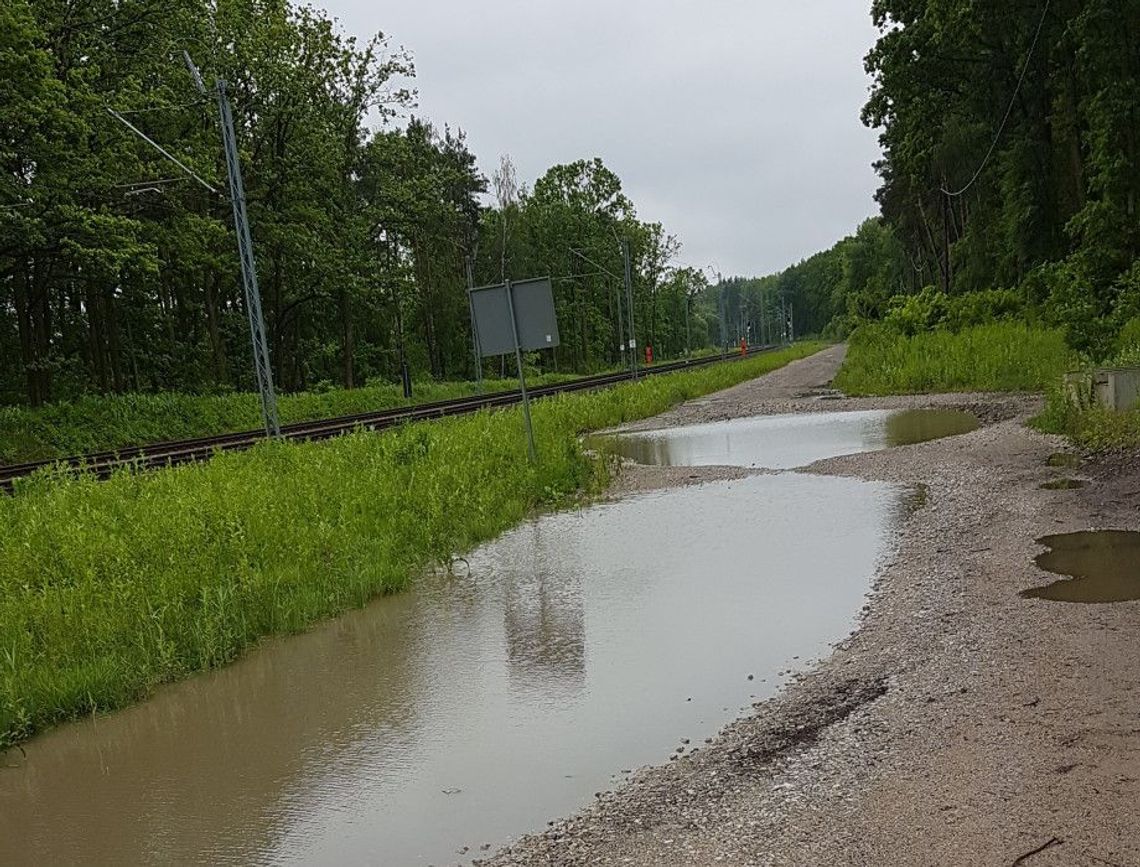 Chcą ścieżki łączącej Zalesie z Żabieńcem