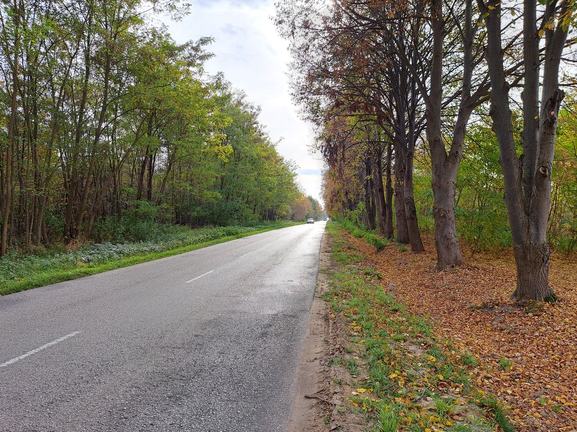 Chcą ścieżki rowerowej na „drodze śmierci”