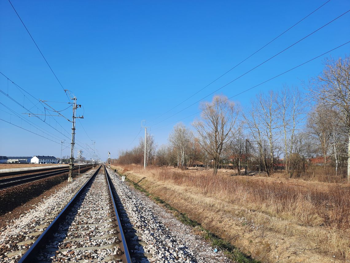 Decyzji nie ma, a prace są prowadzone