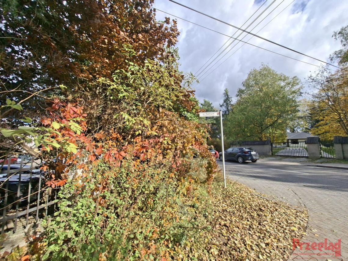 Deszczowe dni w Piasecznie – prognoza na początek listopada Deszczowe dni w Piasecznie – prognoza na początek listopada