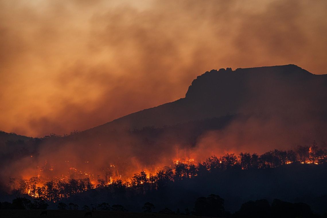 Dramatyczny raport nt. zmian klimatu. Co nas czeka w przyszłości?