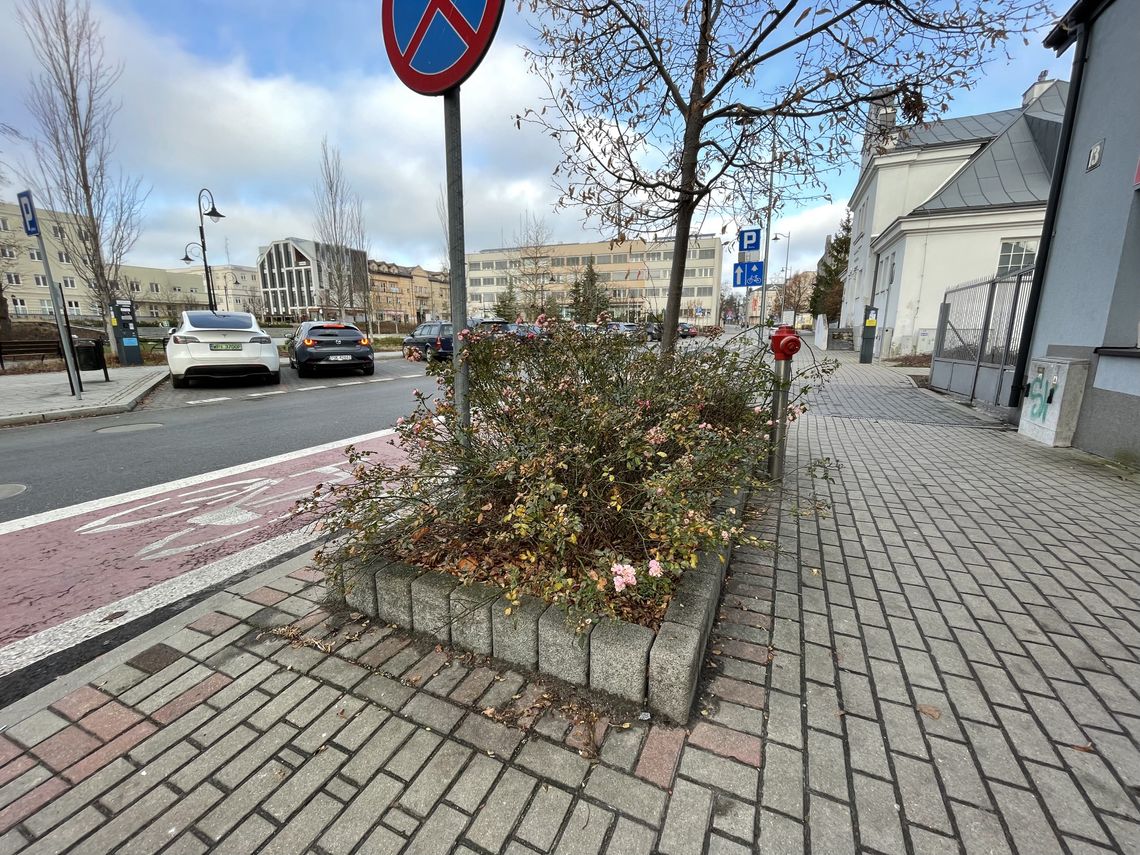 Drugie życie miejskich rabat?