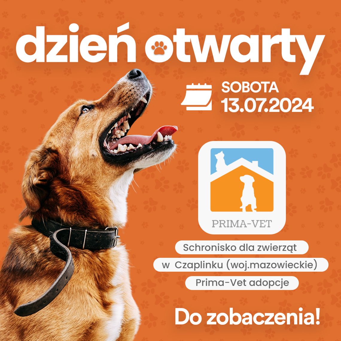 Dzień otwarty w schronisku dla bezdomnych zwierząt