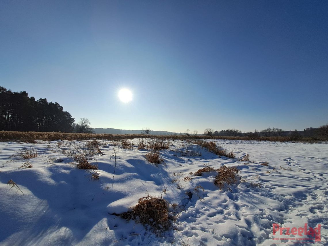 Ekstremalne warunki pogodowe w Piasecznie – prognoza na nadchodzące dni