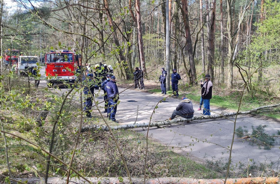 Gmina ma pomysł na drogę do Linina