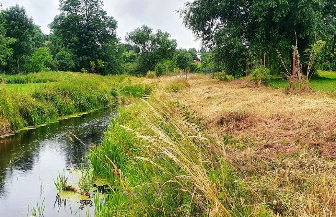 Góra Kalwaria. Piękna i naturalna – taka będzie ścieżka rowerowa nad jezioro Czerskie