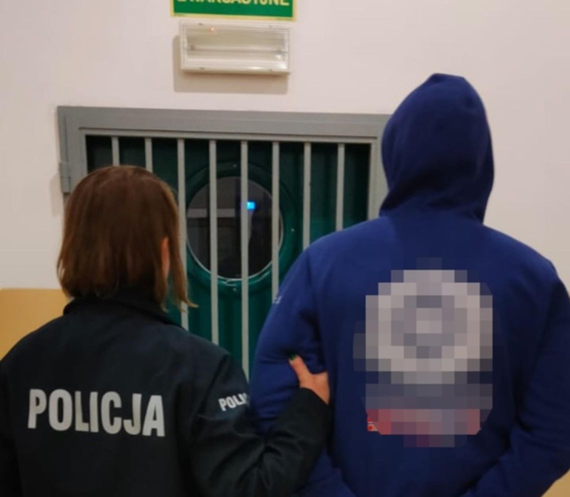 Hałaśliwa noc skończyła się aresztem i sześcioma zarzutami