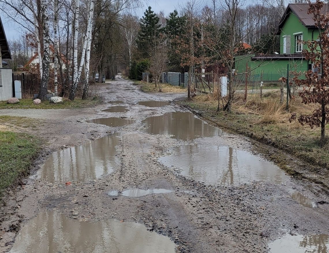 Henryków-Urocze. Na Żabiej toną w błocie