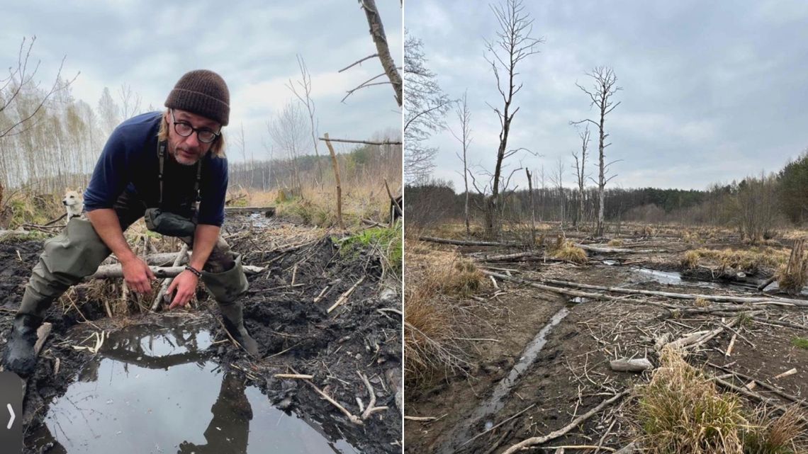 Katastrofa ekologiczna na rzece Tarczynka. Zniszczenie siedlisk bobrów i wysychające źródlisko