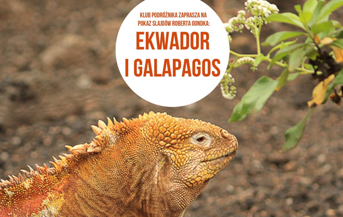 Klub Podróżnika – Ekwador i Galapagos