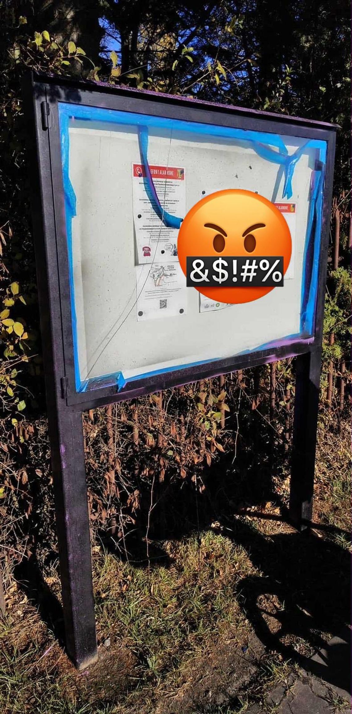 Ktoś nie lubi fioletu?