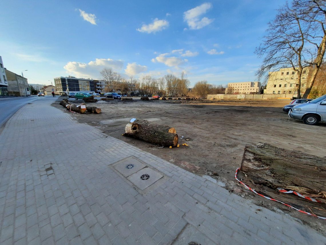 Łąka kwietna zamiast parkingu