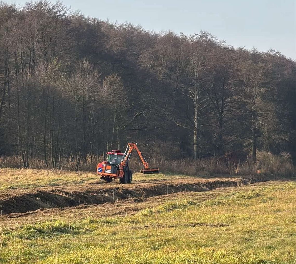 Łąki Oborskie znów zagrożone Łąki Oborskie znów zagrożone