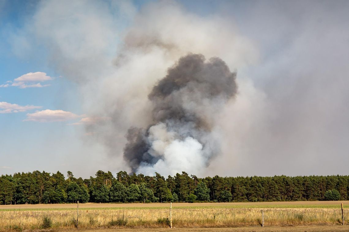 Las płonie szybko