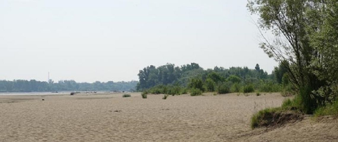 Ludzkie szczątki na dzikiej plaży?