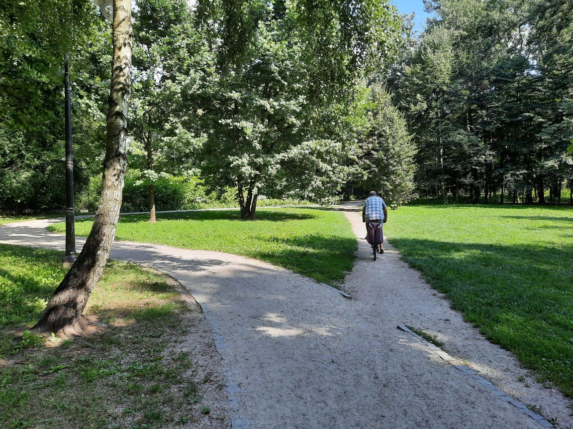 Mieszkańcy nie szanują parku - mówi wiceburmistrz