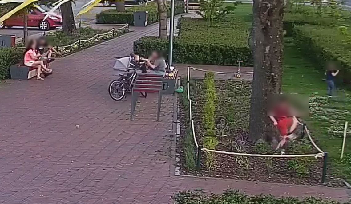Młodym przeszkadzają kwiaty? Młodym przeszkadzają kwiaty?