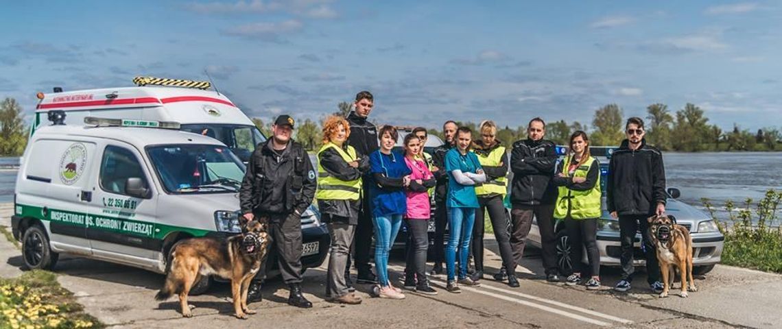 Na czterech łapach - kronika Animal Rescue Poland