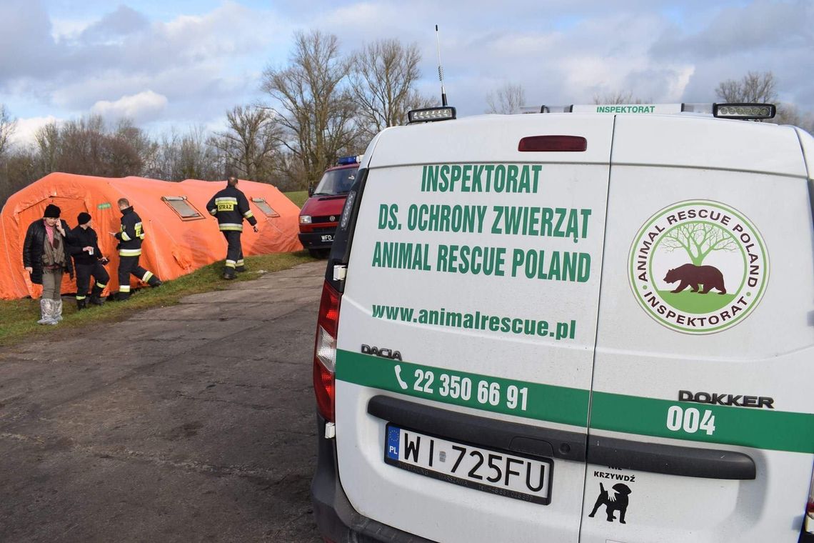 Na czterech łapach - kronika ARP