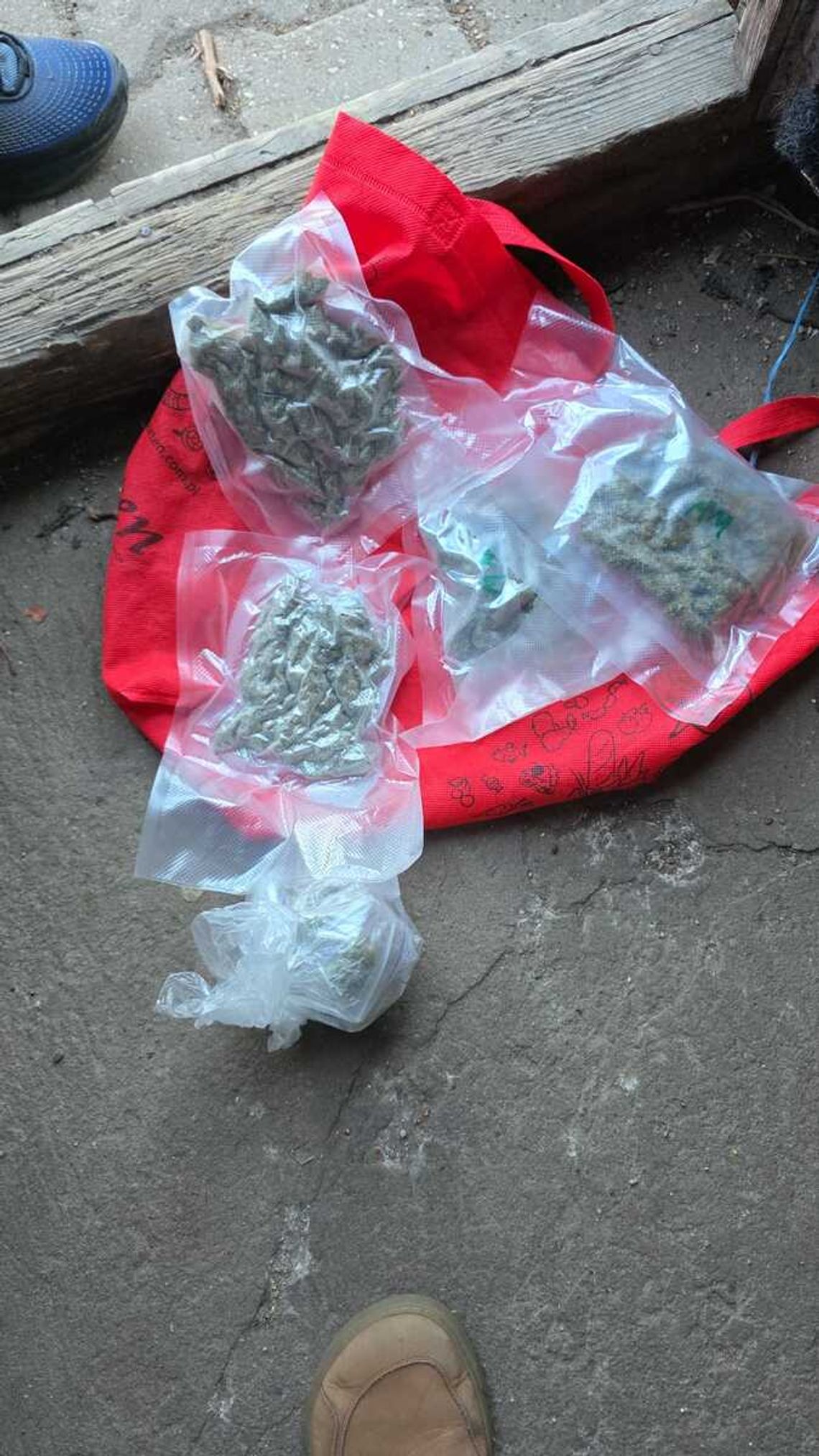 Narkotyki ukryte w gołębniku. 29-latek zatrzymany w gminie Piaseczno