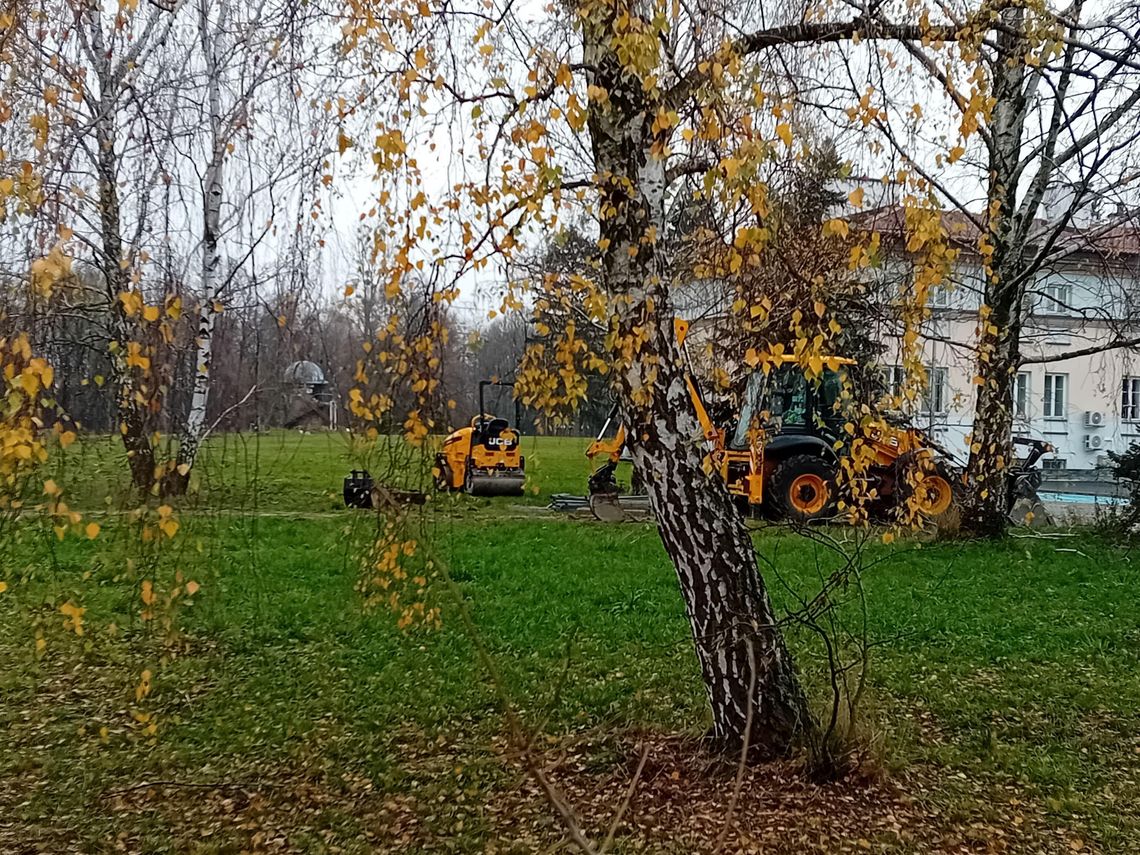 Nasadzenia tak, ale u nas!