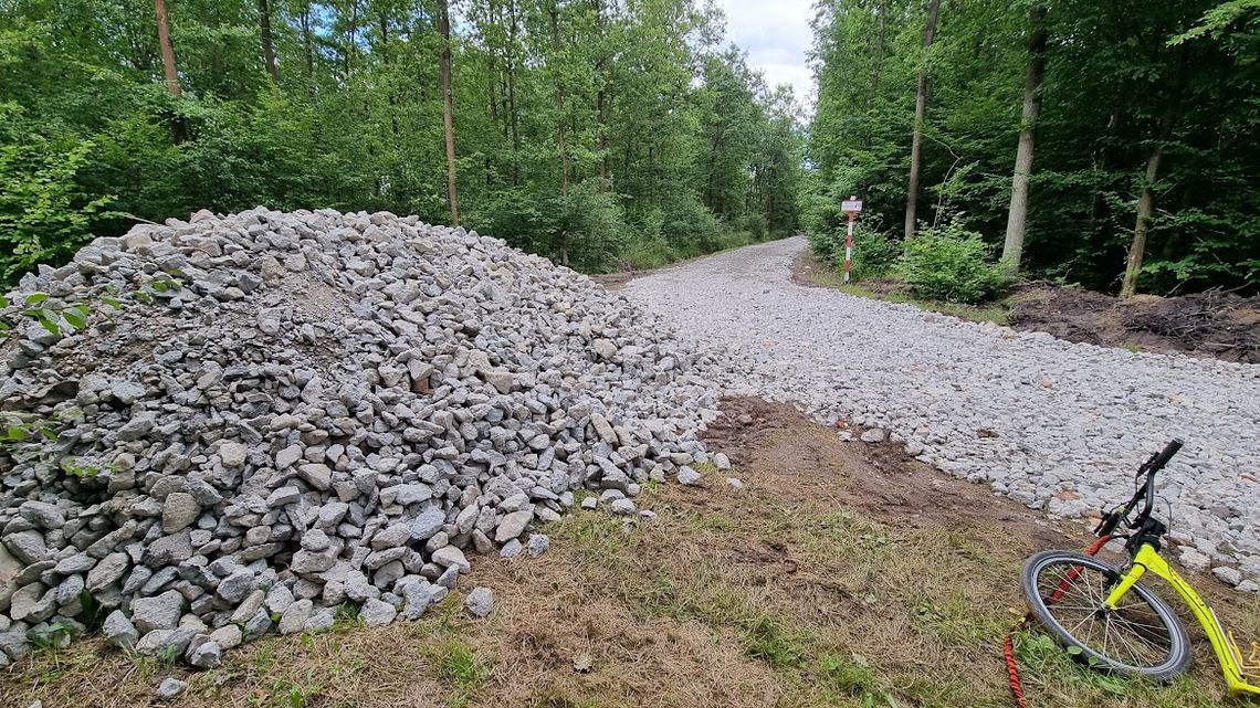 Niebezpieczna droga do lasu