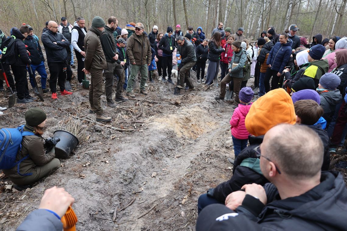 Niech rośnie nam las!