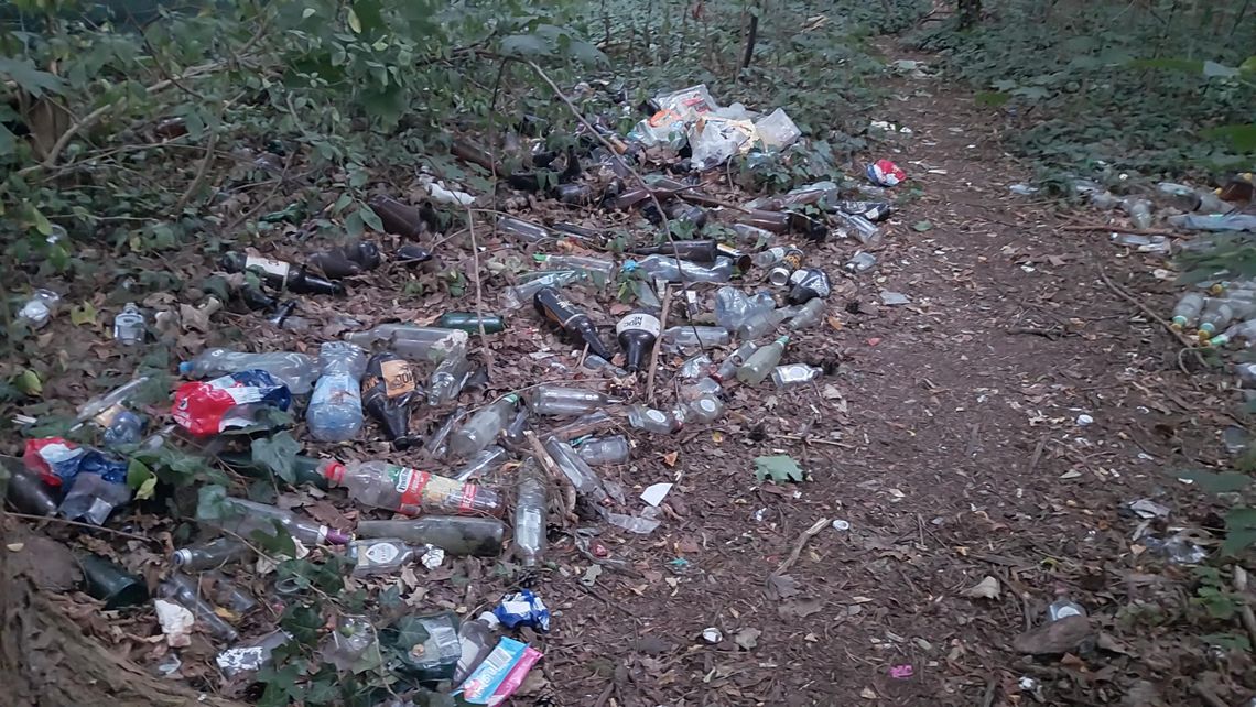 Nielegalne wysypiska śmieci – wciąż duży problem gminy