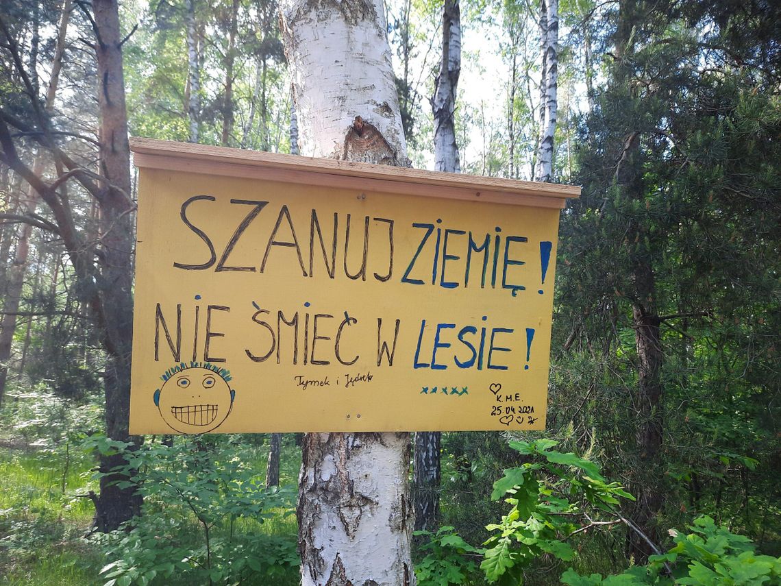 Niestandardowe tablice - ta sama troska o las