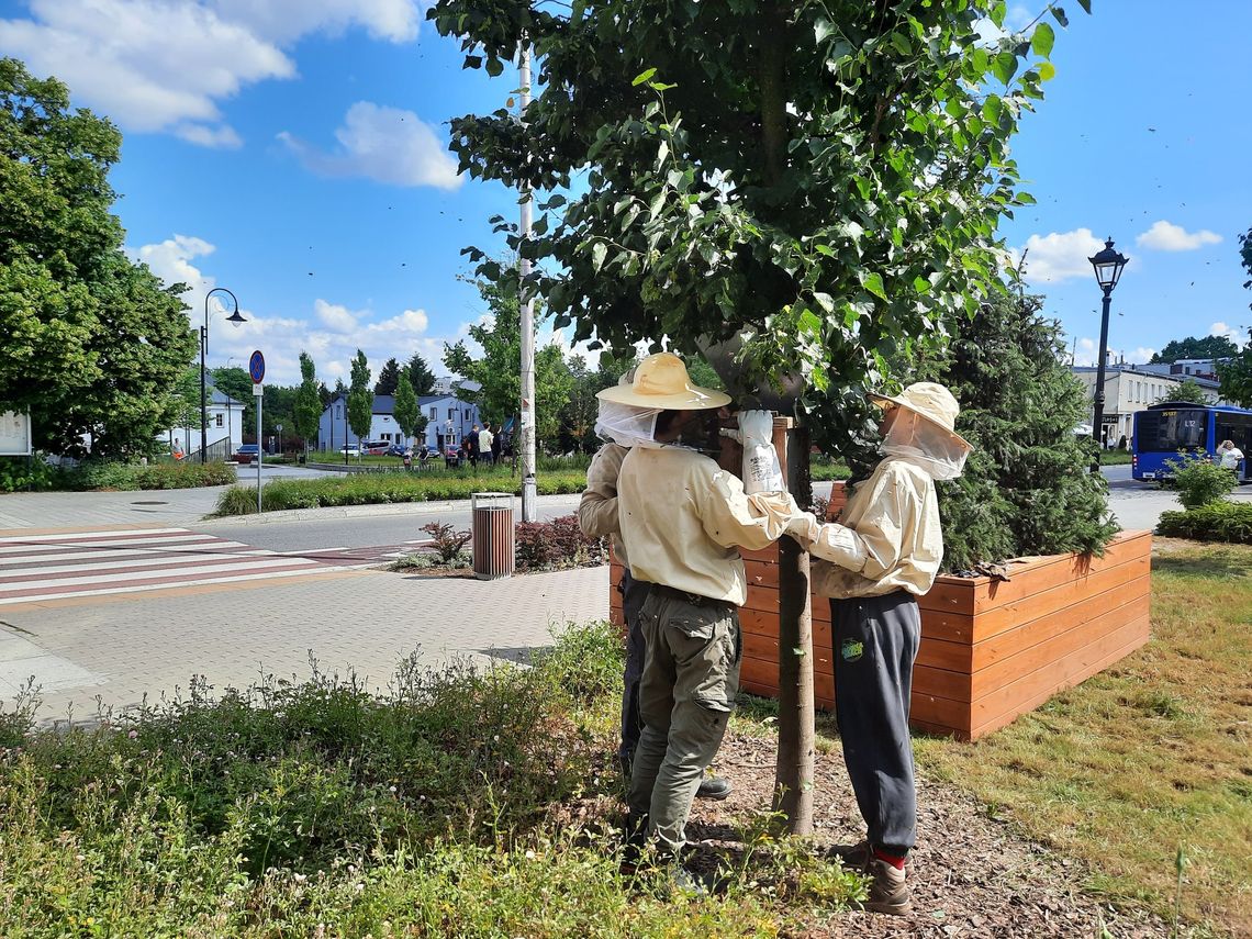 Nietypowa "eksmisja" w centrum Piaseczna