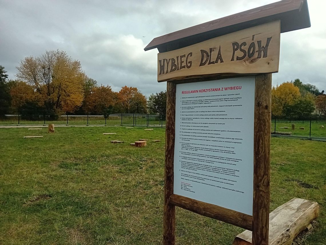 Nowy wybieg dla psów w Piasecznie już w październiku Nowy wybieg dla psów w Piasecznie już w październiku