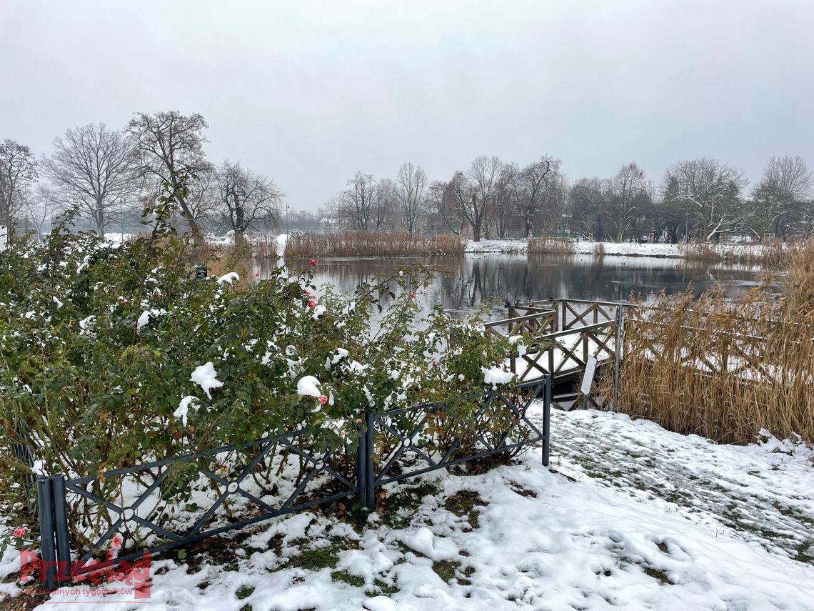 Ostrzeżenie przed zimową pogodą w Piasecznie – sprawdź prognozę na weekend! Ostrzeżenie przed zimową pogodą w Piasecznie – sprawdź prognozę na weekend!