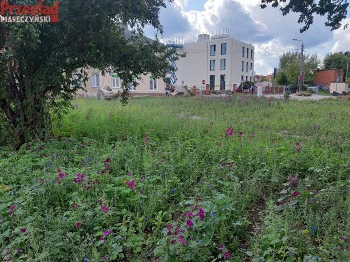 Piaseczno dla klimatu