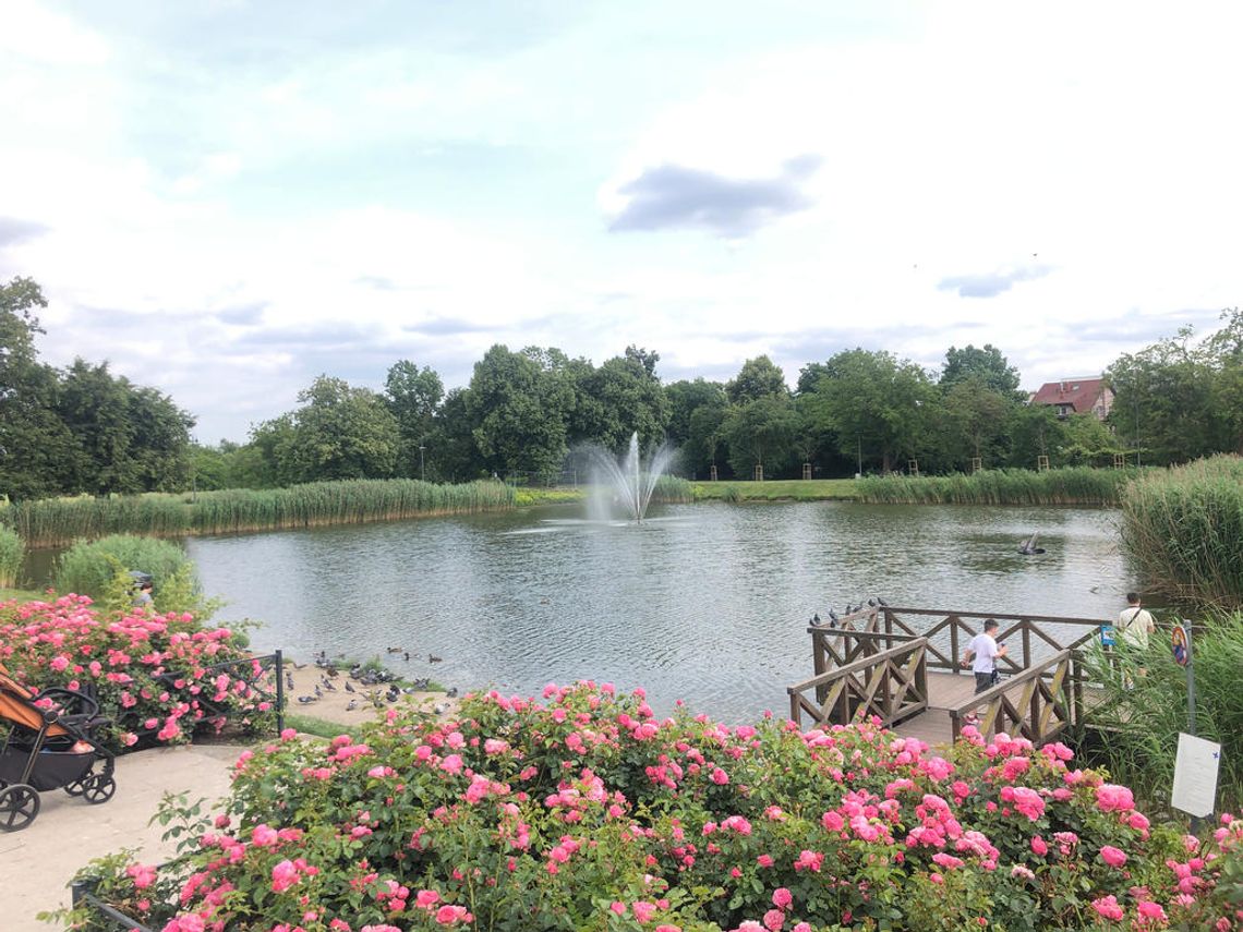 Piaseczno liderem w rankingu miejsc, gdzie żyje się najlepiej Piaseczno liderem w rankingu miejsc, gdzie żyje się najlepiej