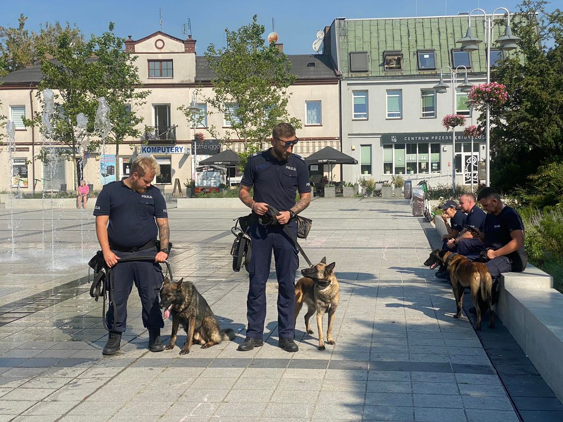 Piaseczno. Policjanci z psami w centrum miasta