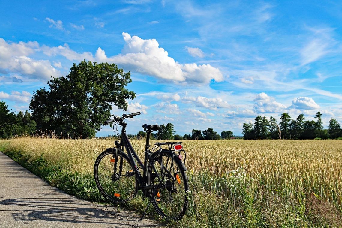 Piaseczyńskie trójmiasto na rowerze