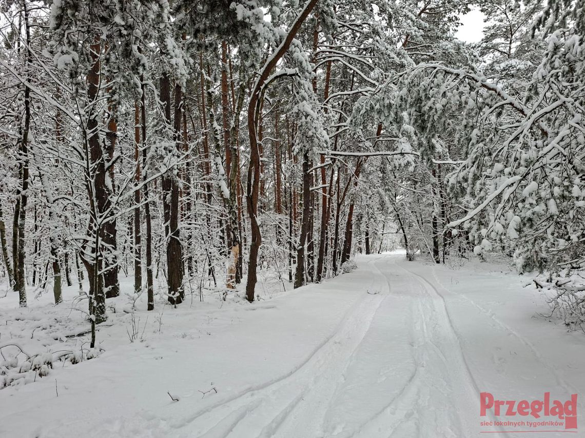 Pogoda w Piasecznie – zimowe dni z opadami śniegu i deszczu Pogoda w Piasecznie – zimowe dni z opadami śniegu i deszczu
