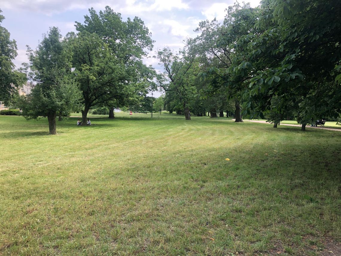 Pogodowe zmiany w Piasecznie - co przyniosą najbliższe dni?