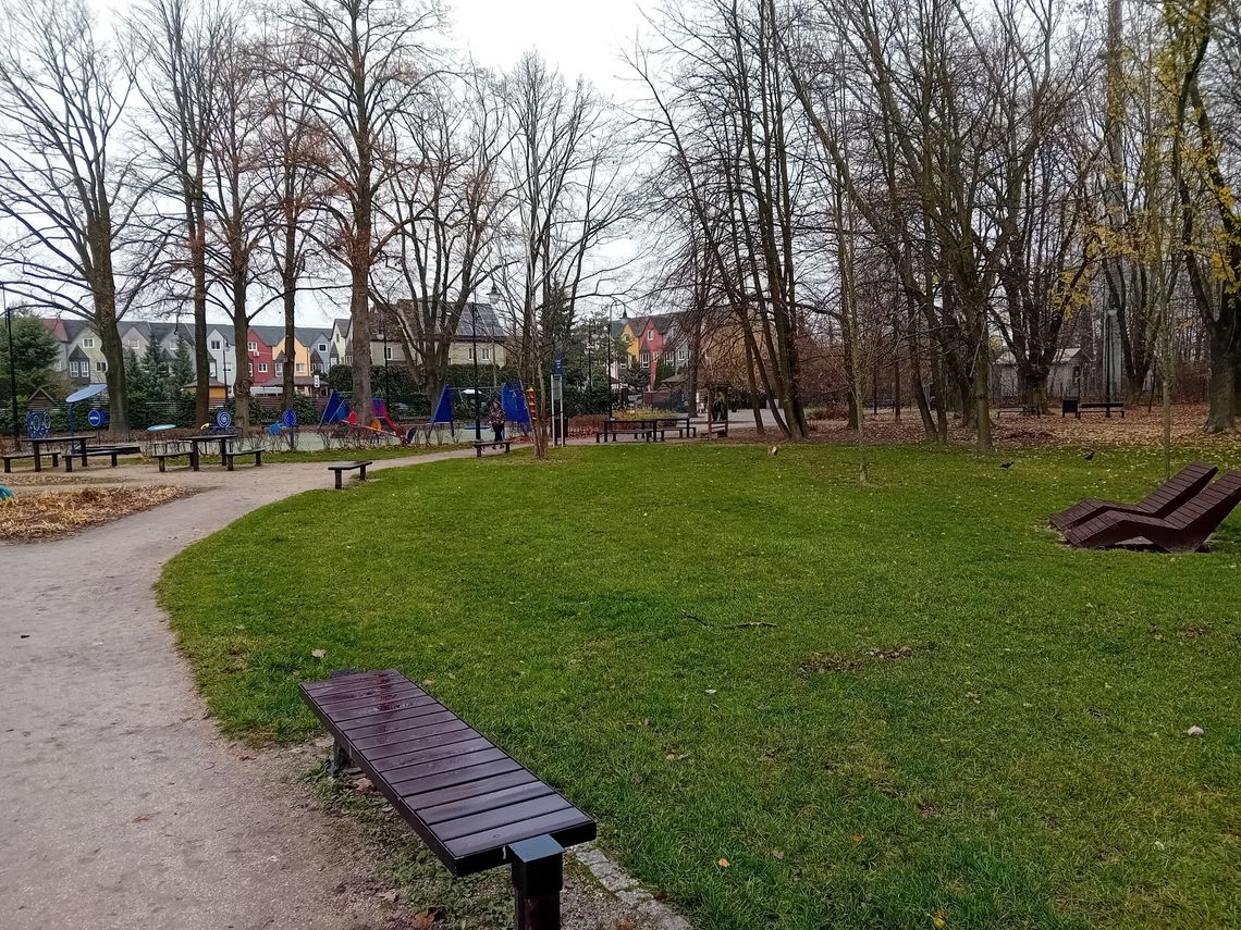 Policja kontra wandale