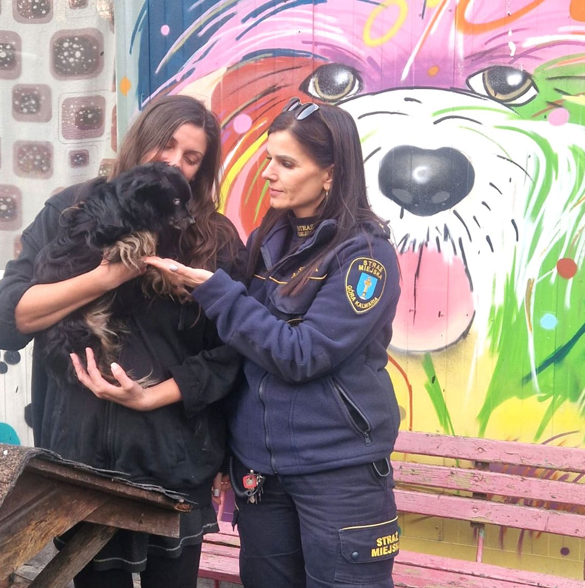 Pomóż zwierzętom ze schroniska w Czaplinku Pomóż zwierzętom ze schroniska w Czaplinku