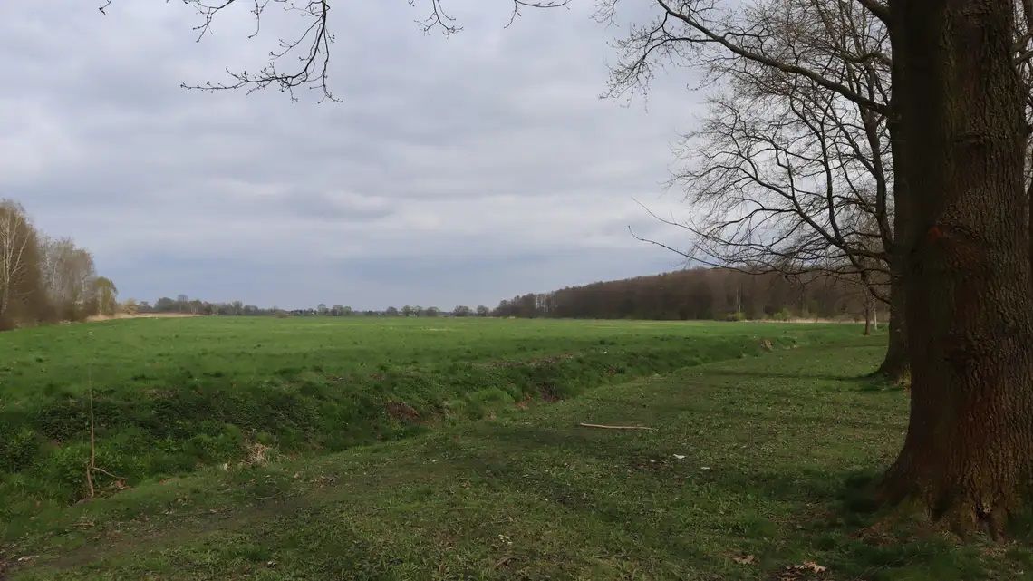 Pomysł na ochronę Łąk Oborskich Pomysł na ochronę Łąk Oborskich