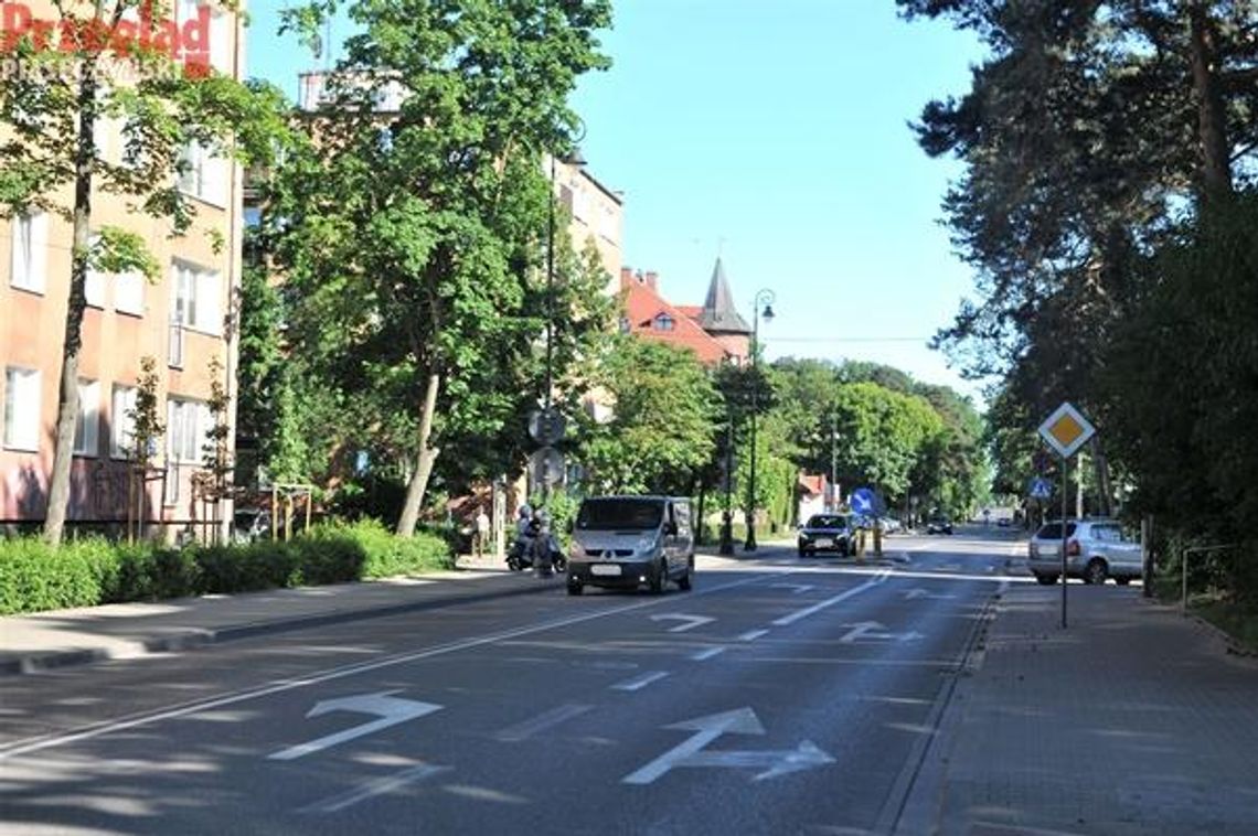 Ponad 200 nowych drzew