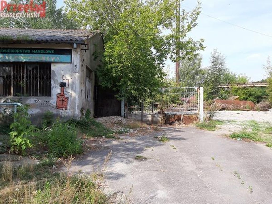 Porządkowanie Mleczarni